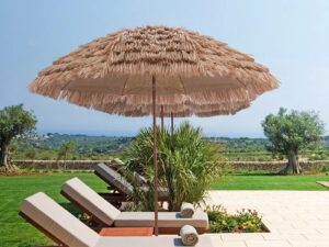 Hawaii Parasol Natur